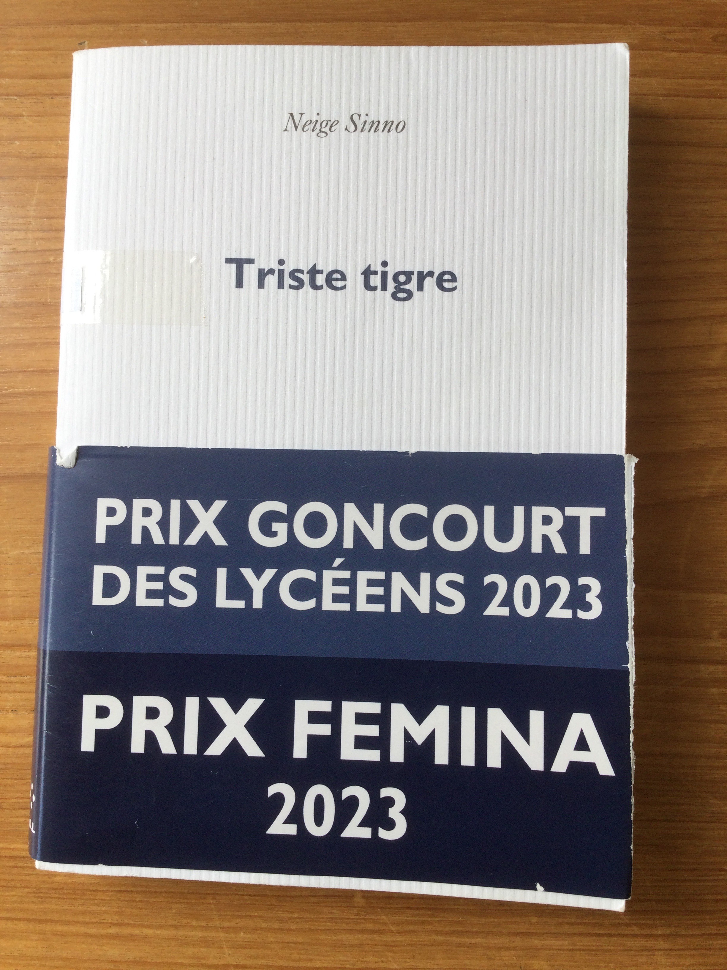 Triste trigre - Click to enlarge picture.