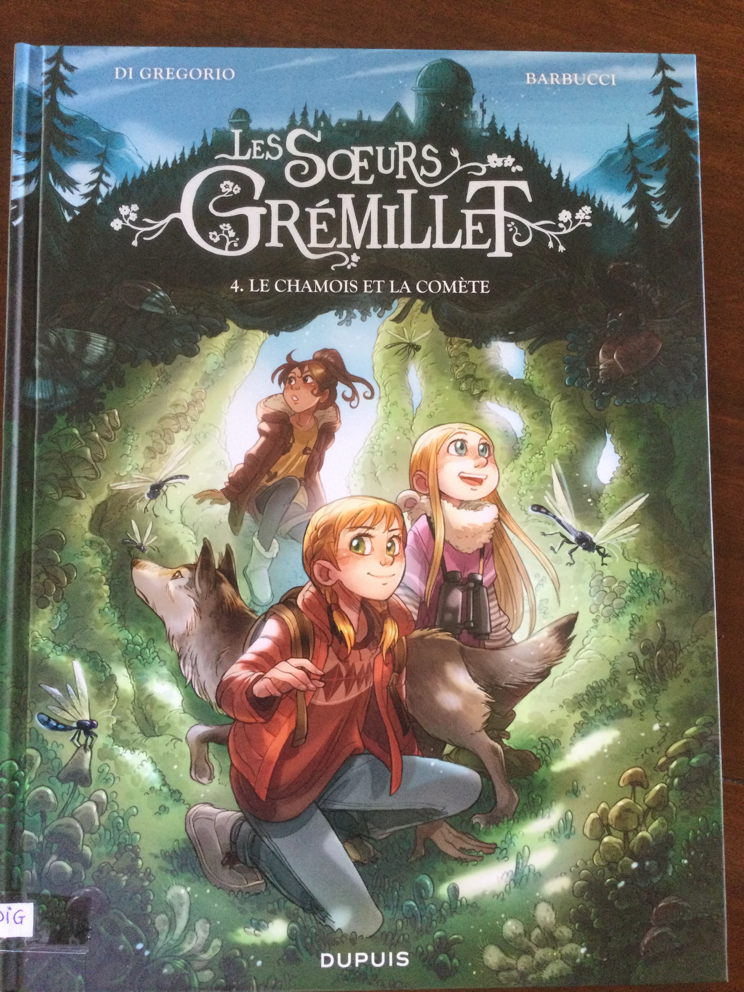 Les sœurs Gremillet 4 - Click to enlarge picture.