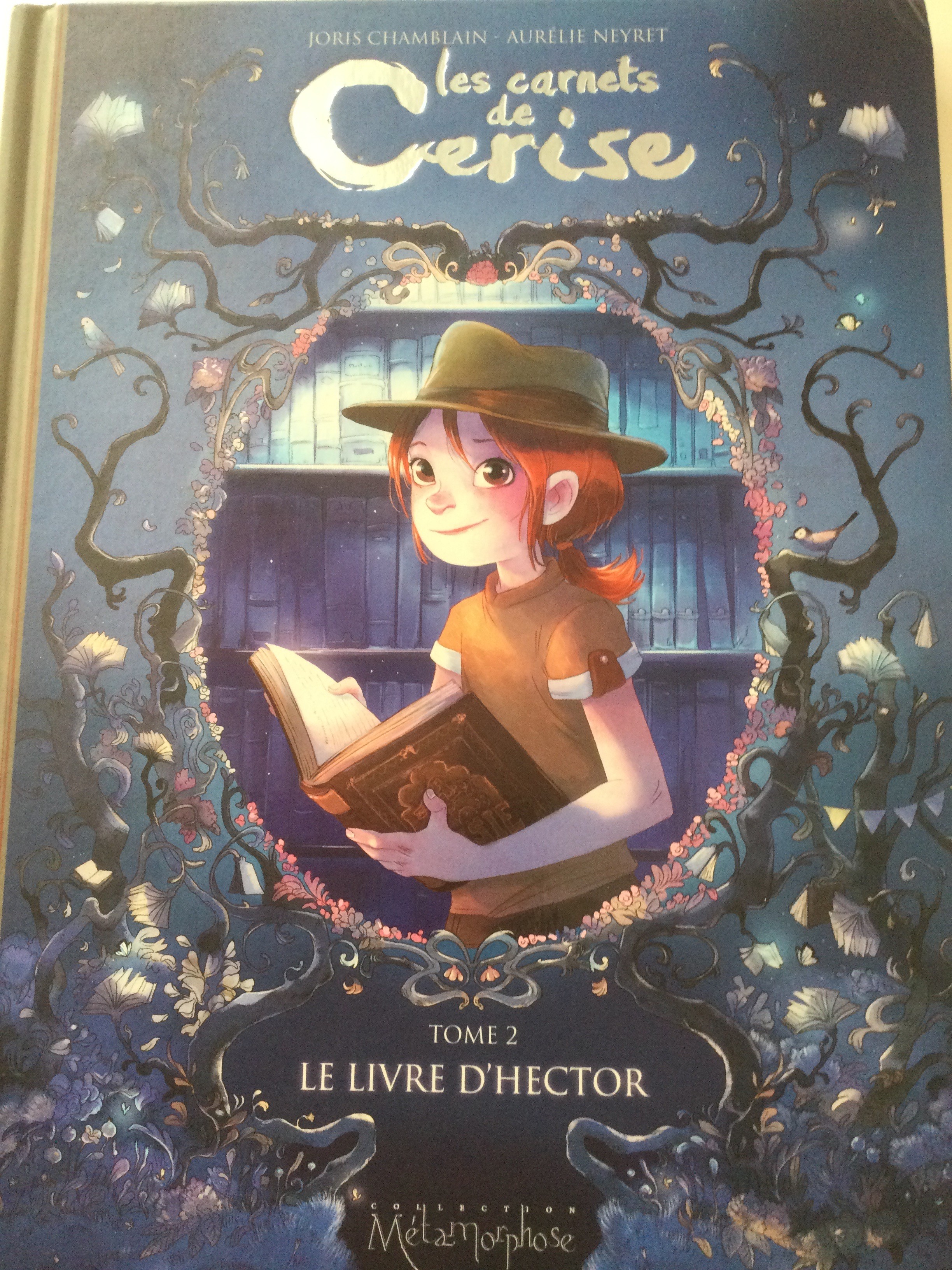 Les carnets de Cerise, tome 2 - Click to enlarge picture.