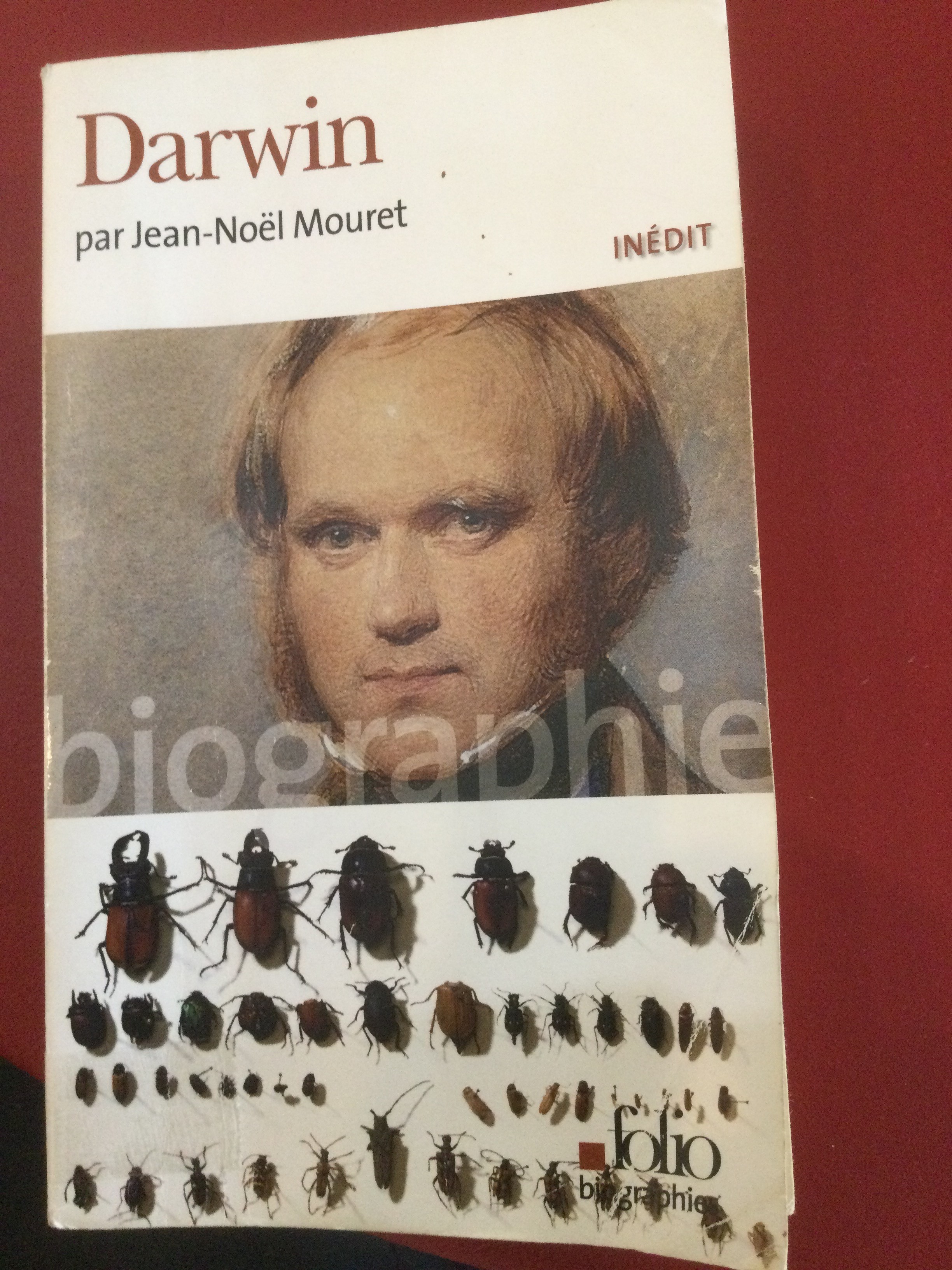 Darwin - Click to enlarge picture.