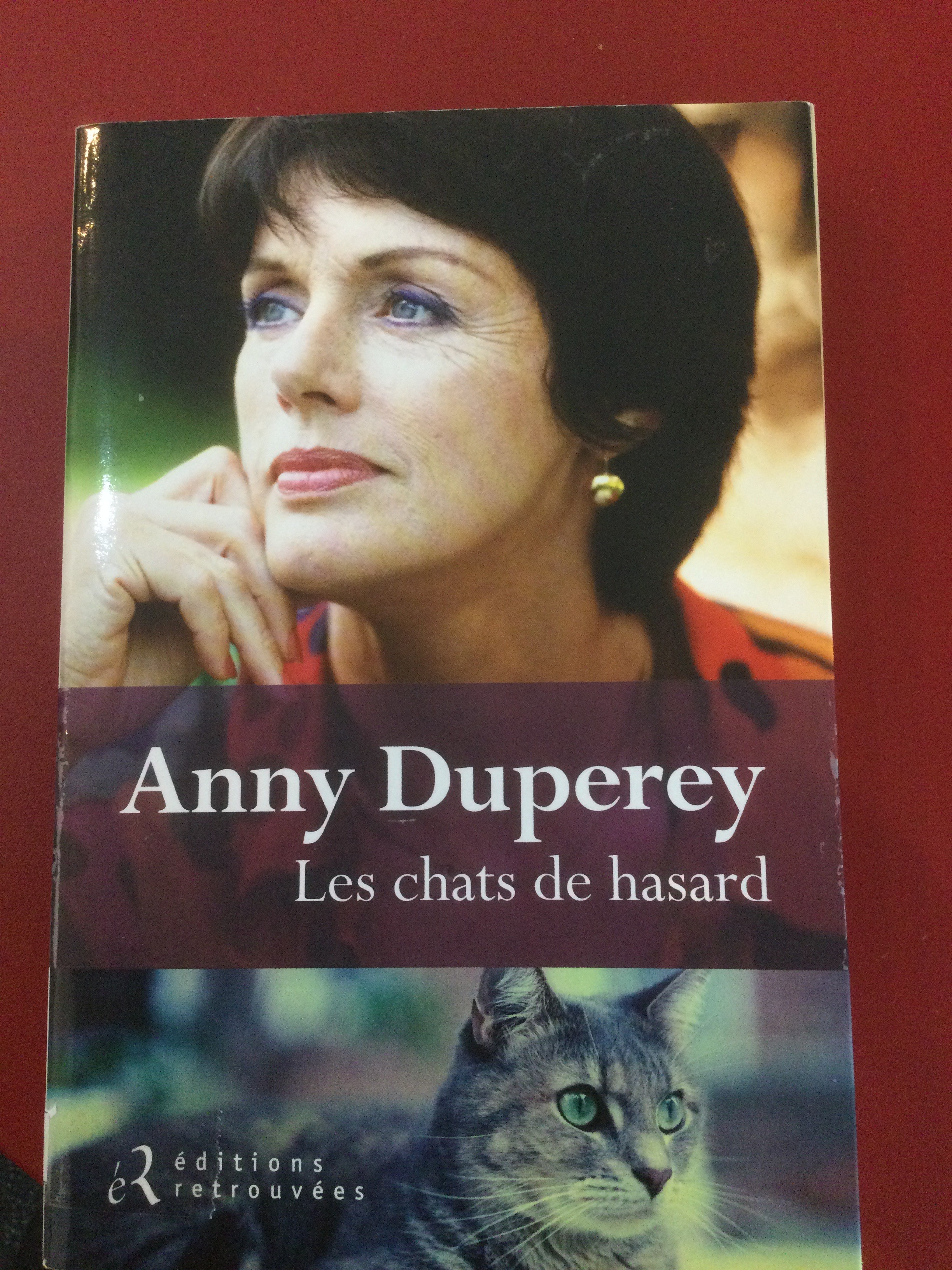 Les chats de hasard - Click to enlarge picture.