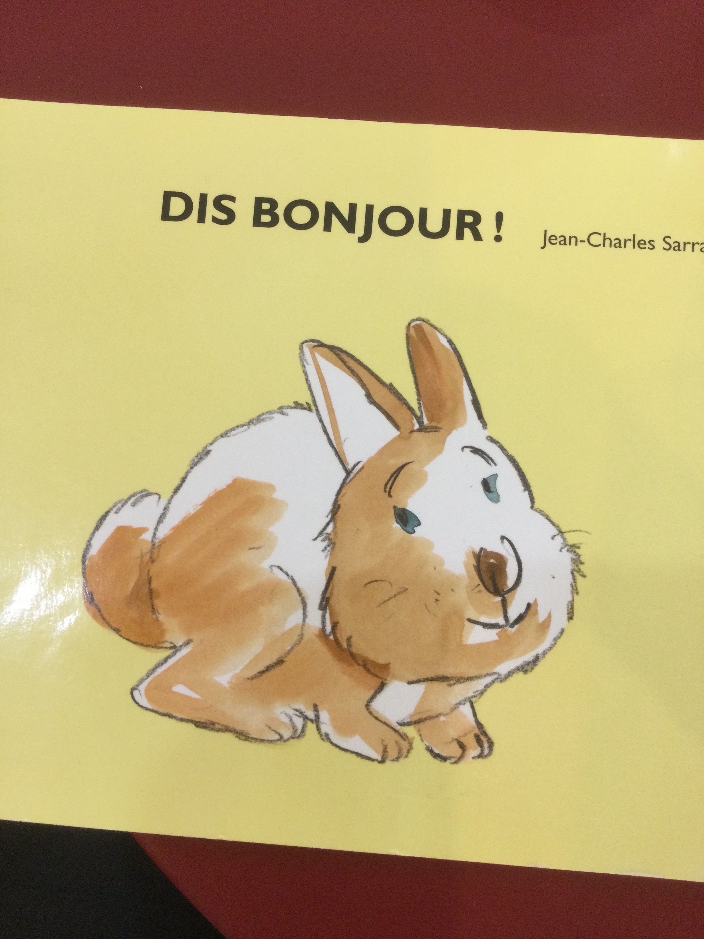 Dis Bonjour ! - Click to enlarge picture.