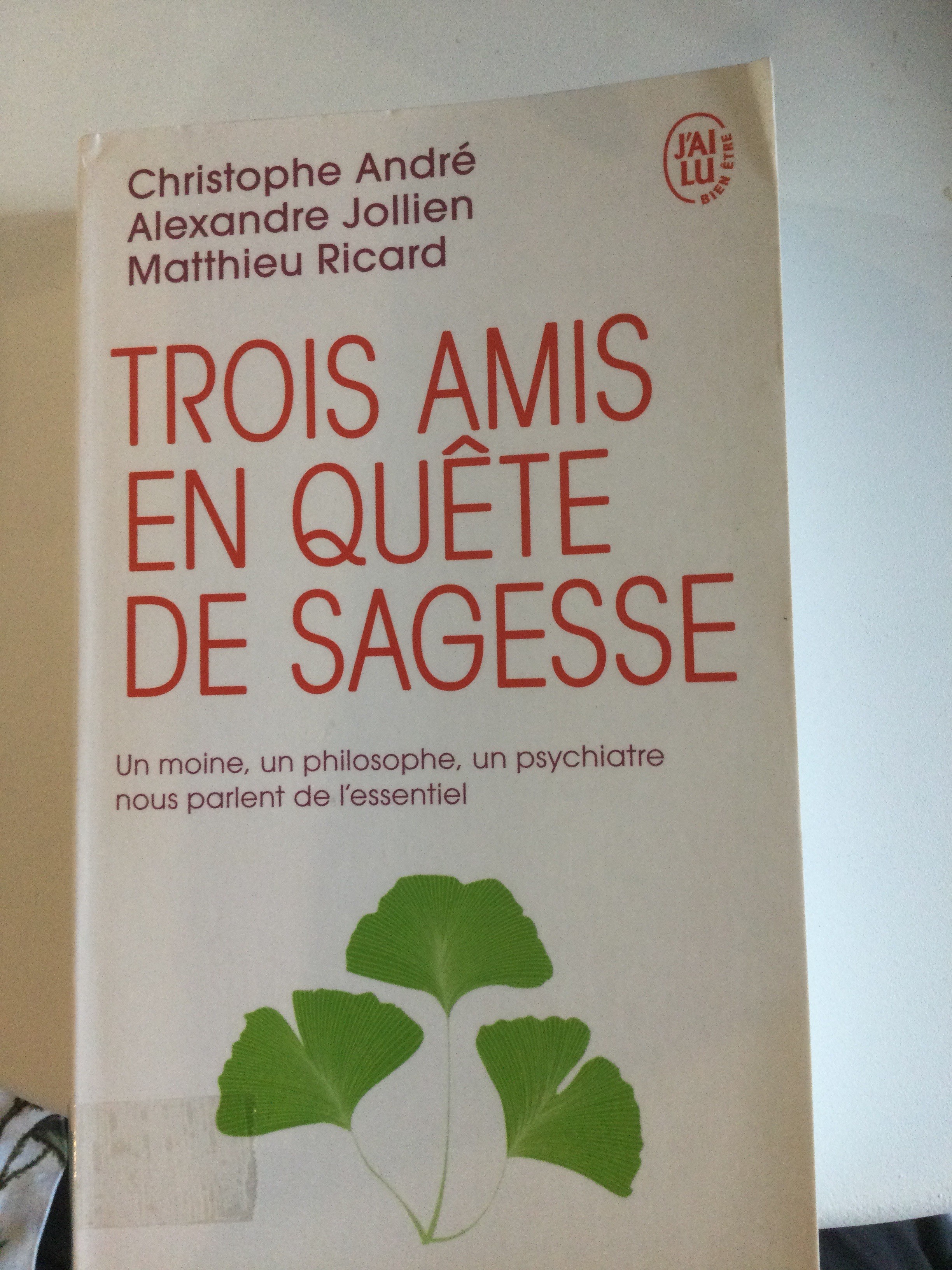 Trois amis en quête de agesse - Click to enlarge picture.