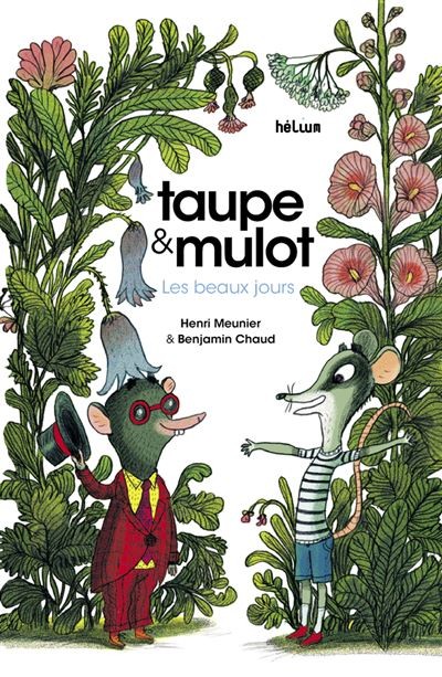 Taupe & Mulot - Click to enlarge picture.