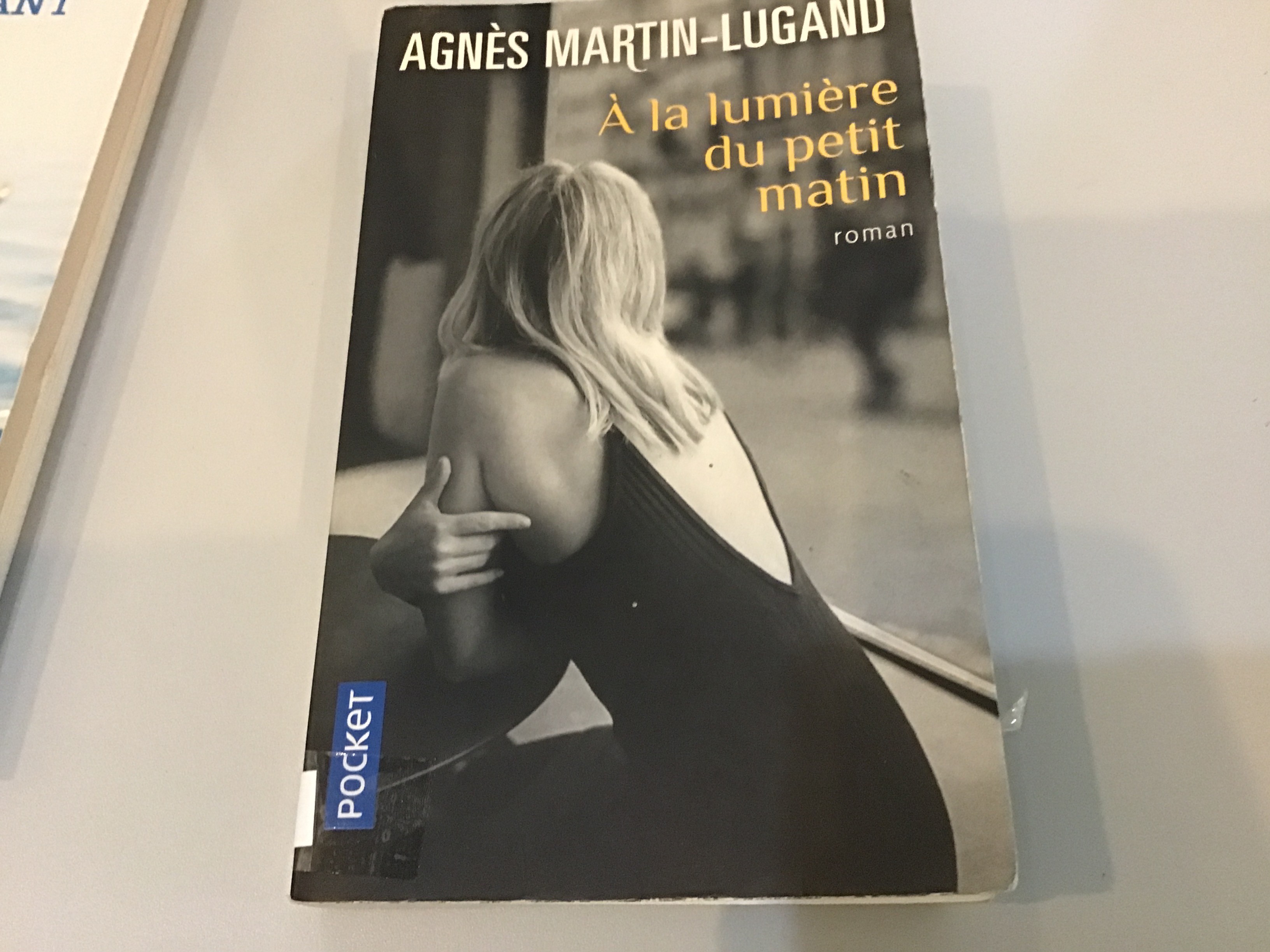 A la lumière du petit matin - Click to enlarge picture.