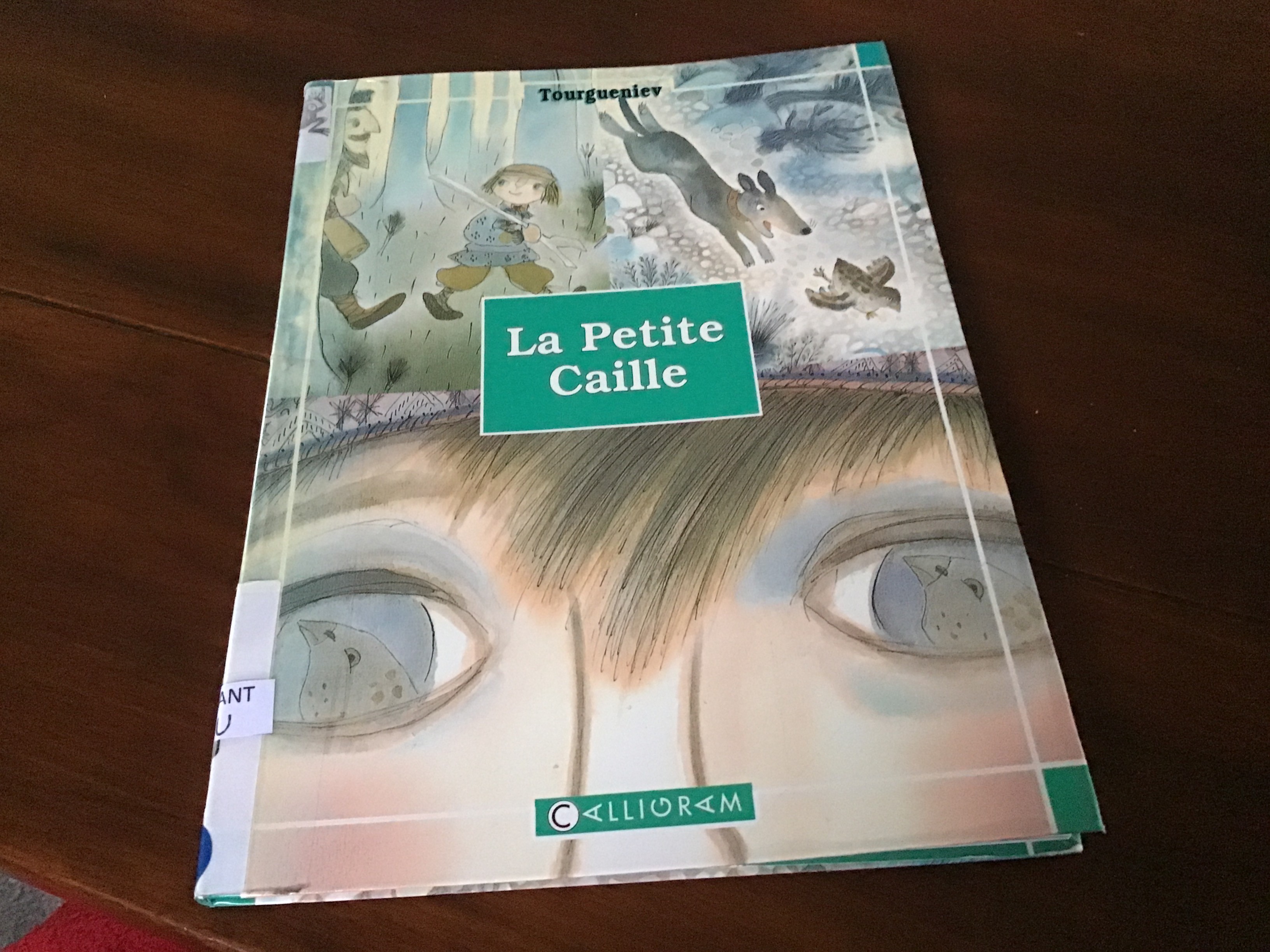 La petite caille - Click to enlarge picture.