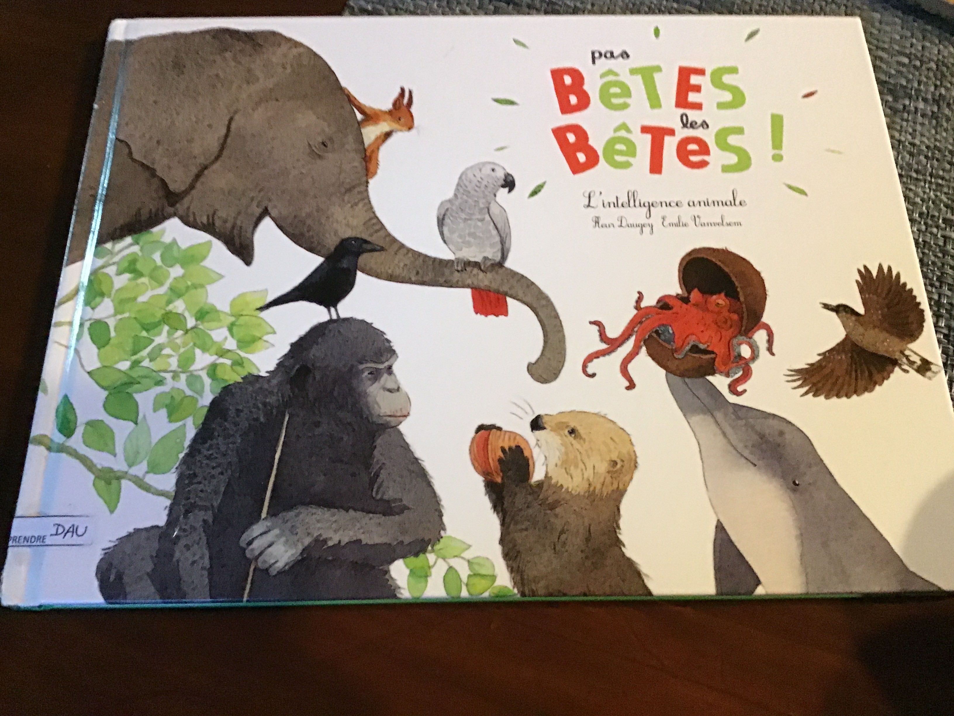 Pas si bêtes les bêtes! - Click to enlarge picture.