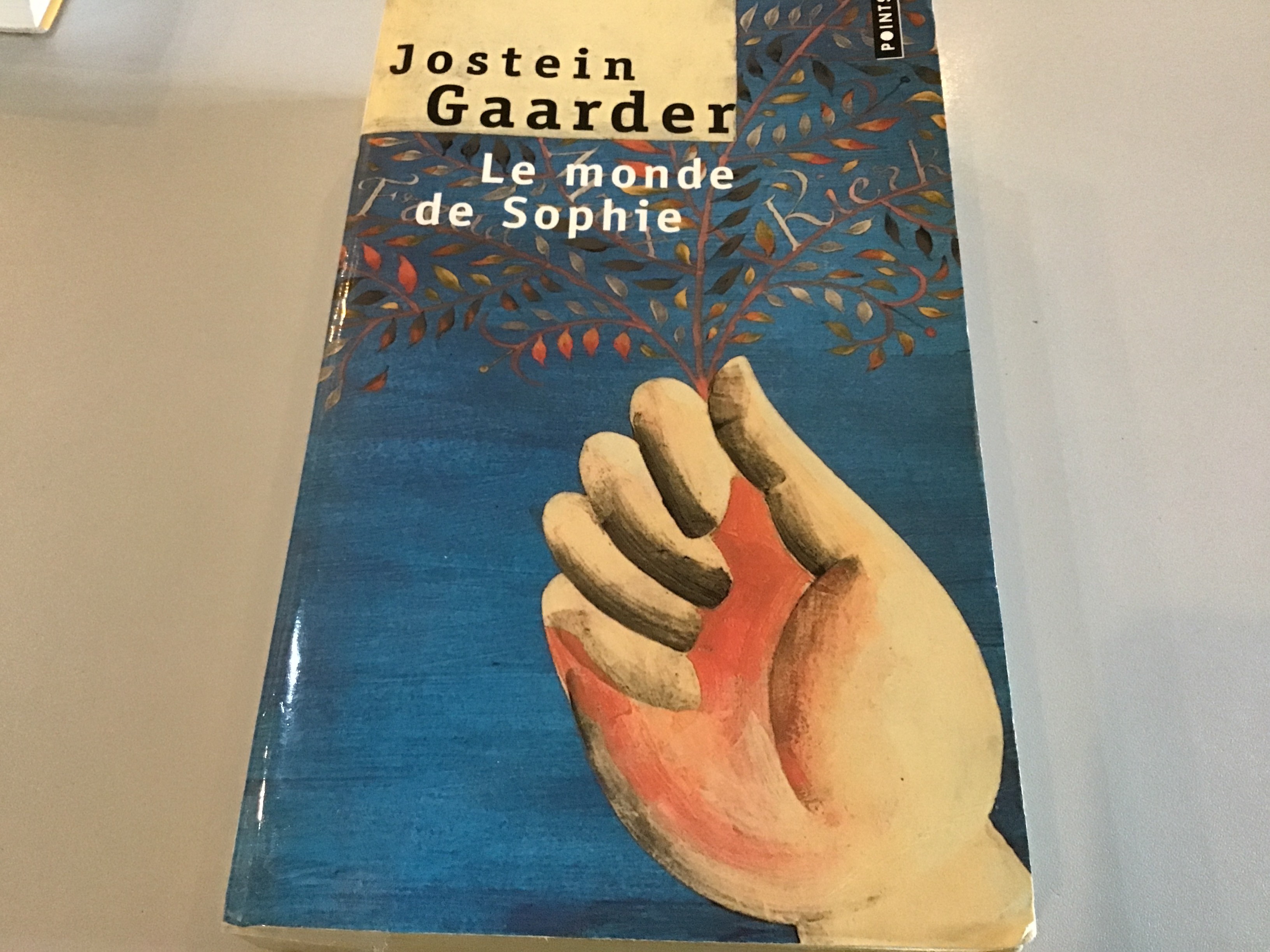 Le monde de Sophie - Click to enlarge picture.