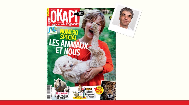 OKAPI - Click to enlarge picture.