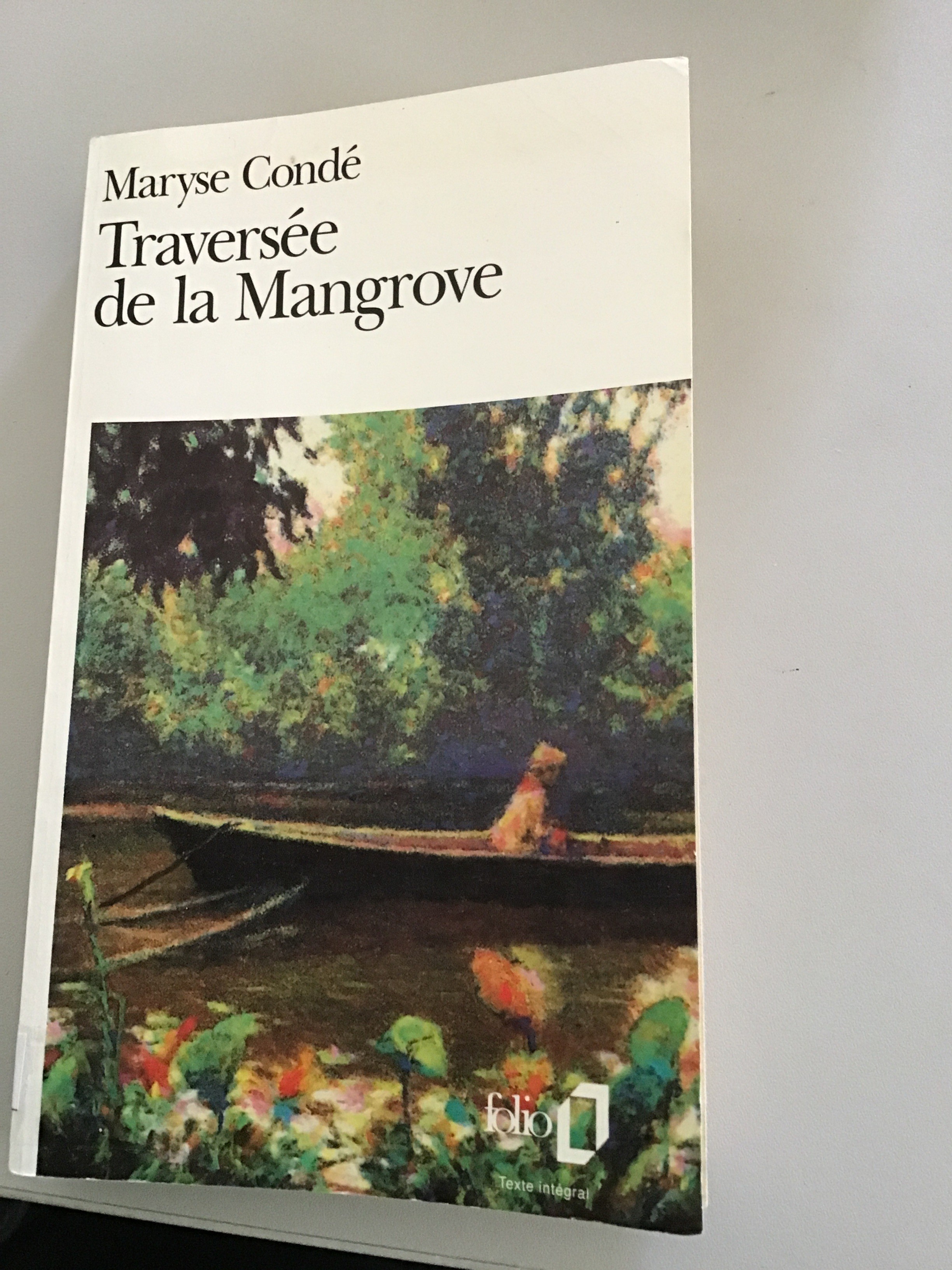 Traversée de la Mangrove - Click to enlarge picture.