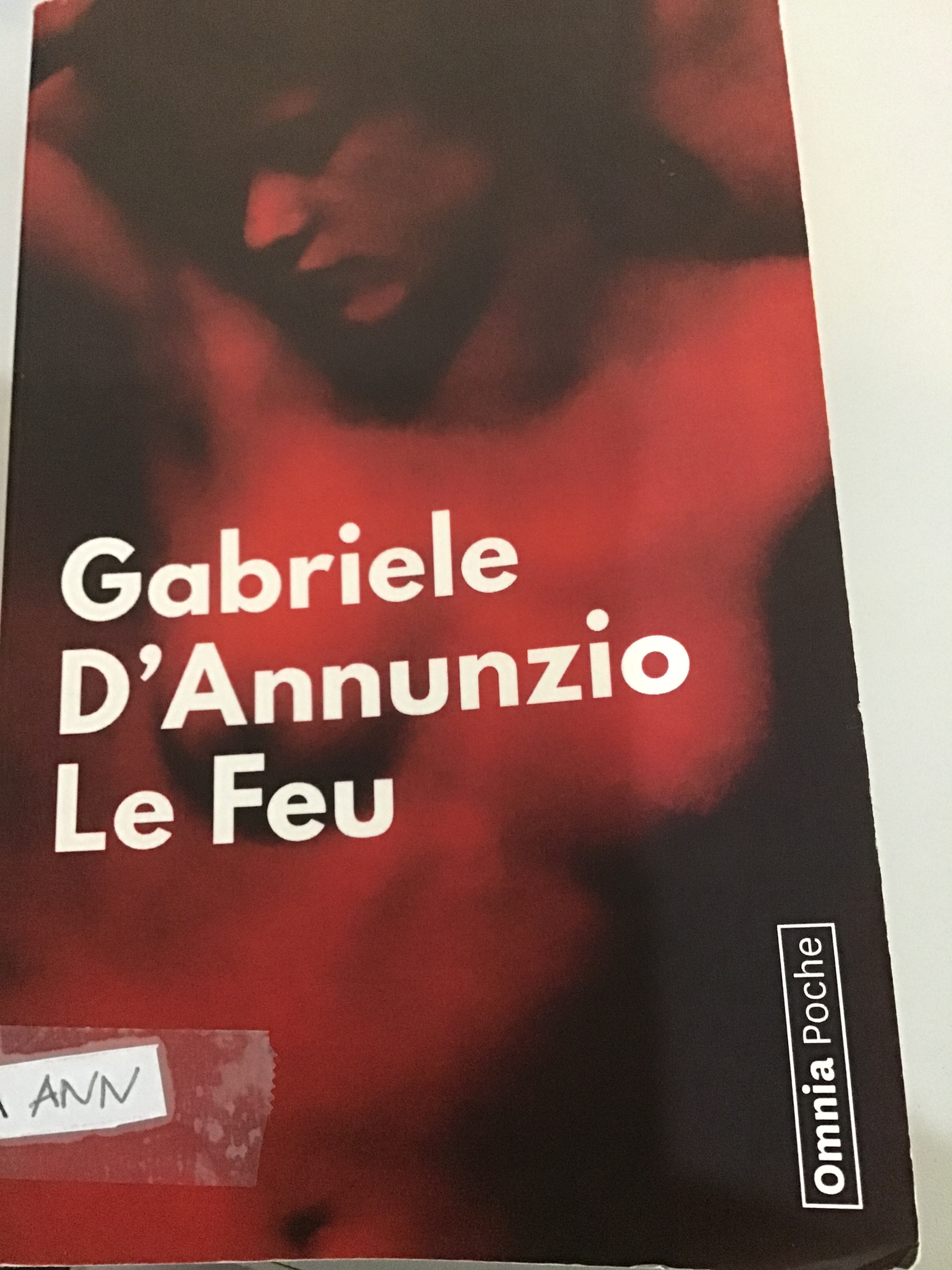 Le feu - Click to enlarge picture.