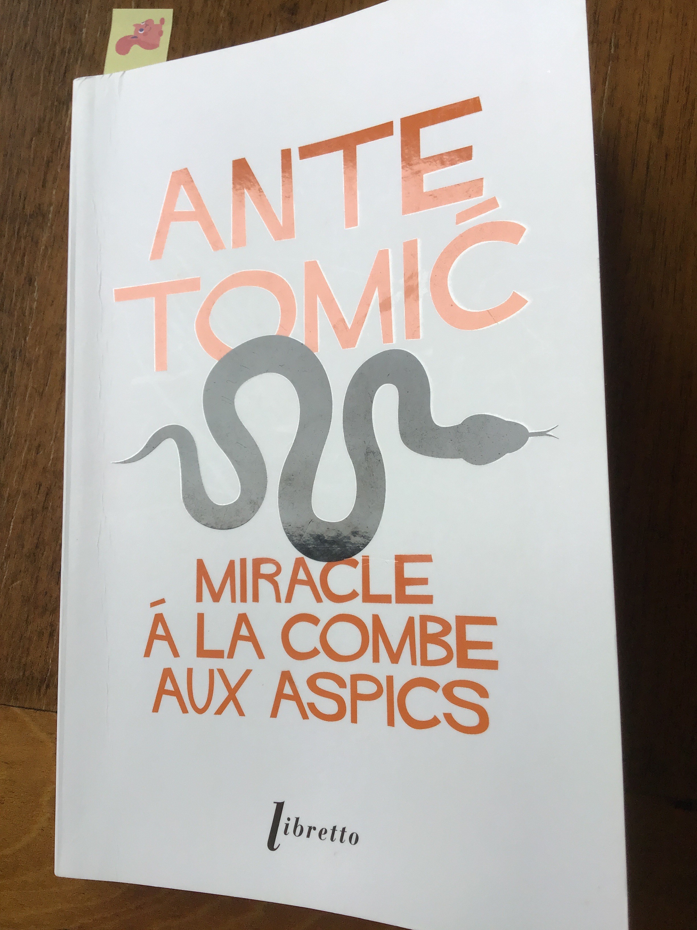 Miracle à la Combe aux Aspics - Click to enlarge picture.