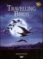 The Travelling Birds - Click to enlarge picture.
