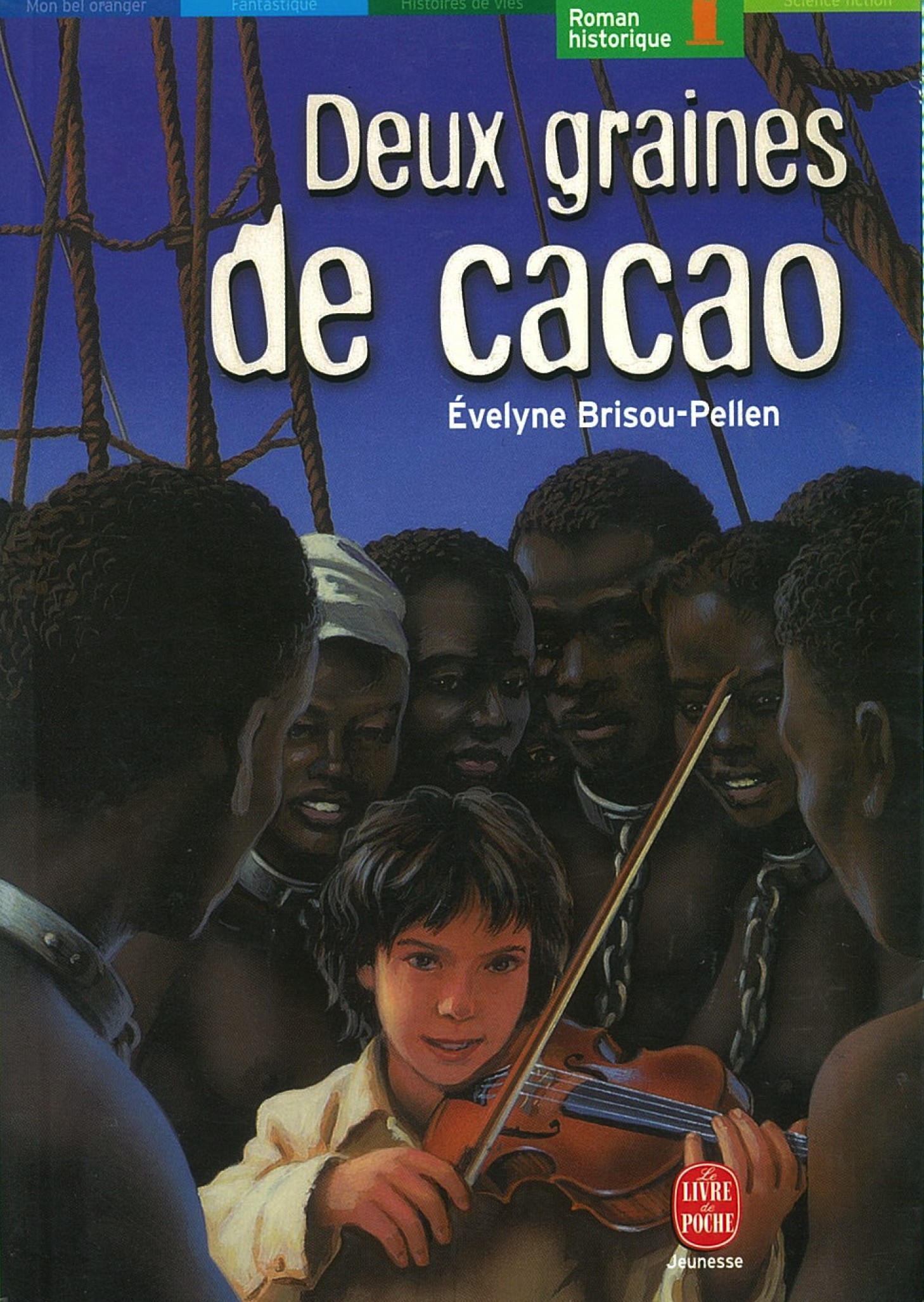 Deux graines de cacao - Click to enlarge picture.