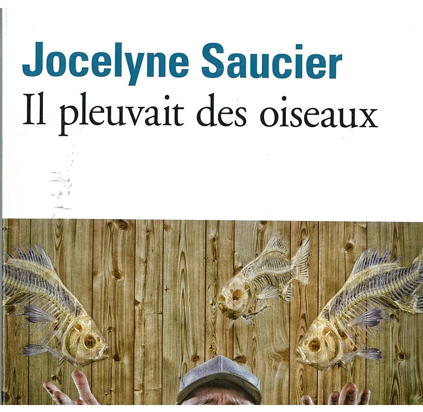 Il pleuvait des oiseaux - Click to enlarge picture.