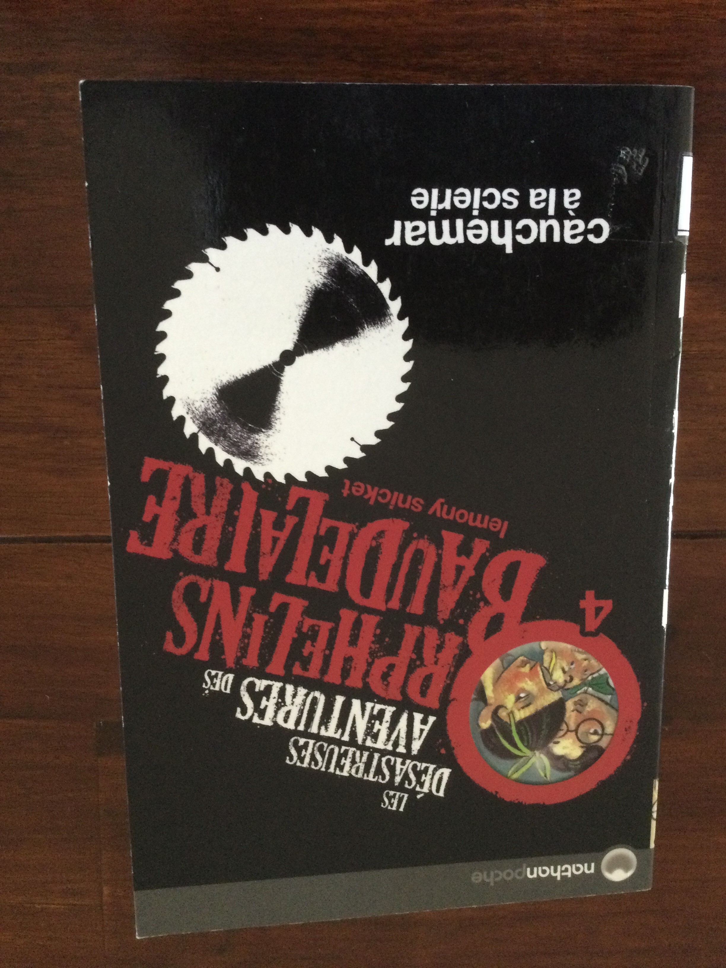 Les désastreuses aventures des orphelins Baudelaire 4 - Click to enlarge picture.