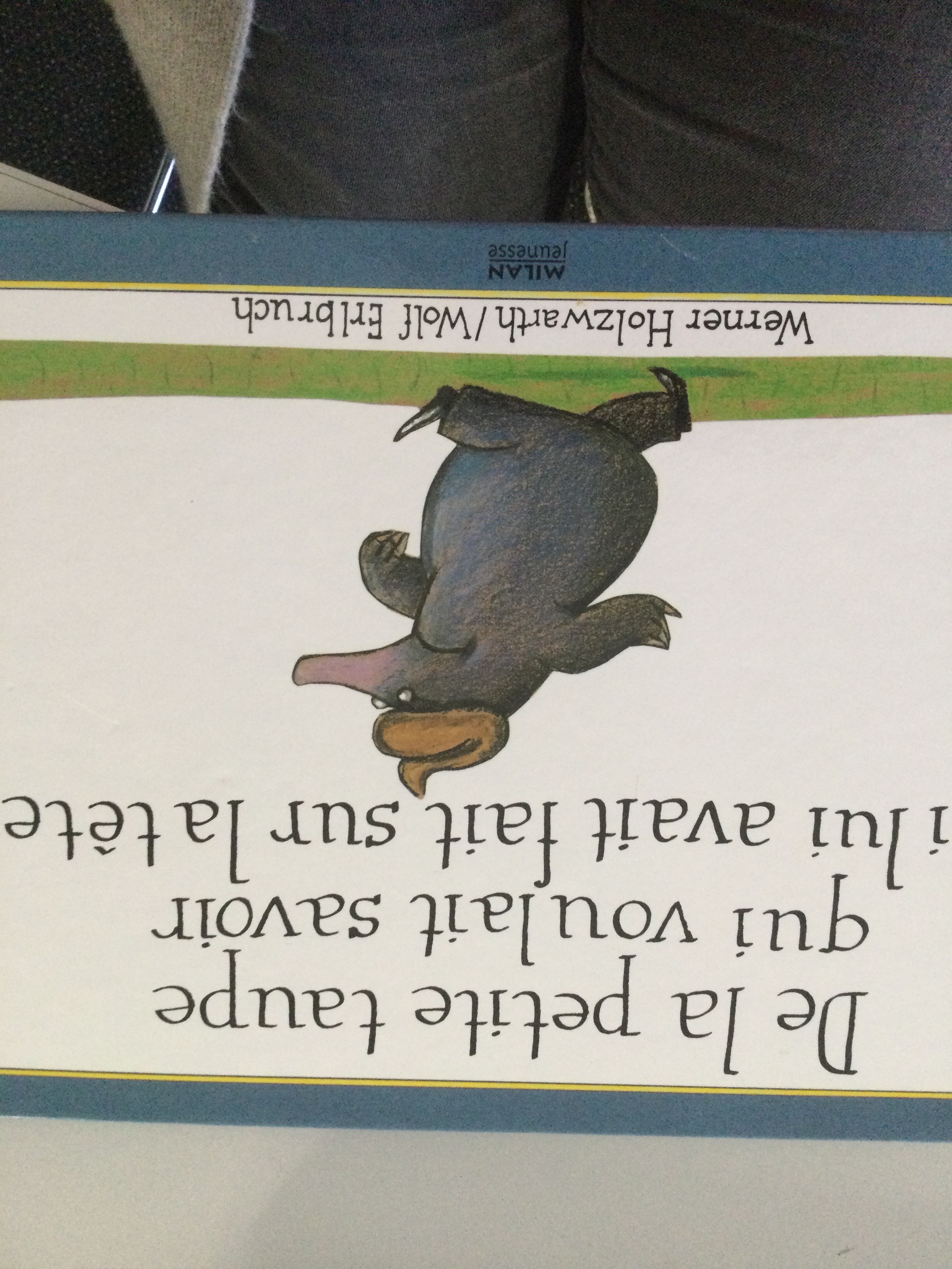 De la petite taupe qui voulait savoir - Click to enlarge picture.