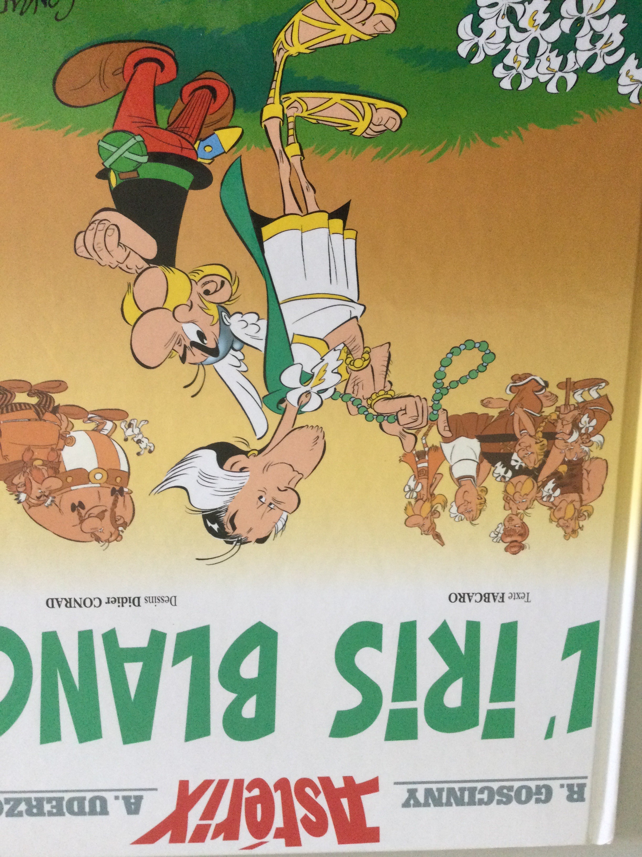 L’iris blanc - Click to enlarge picture.