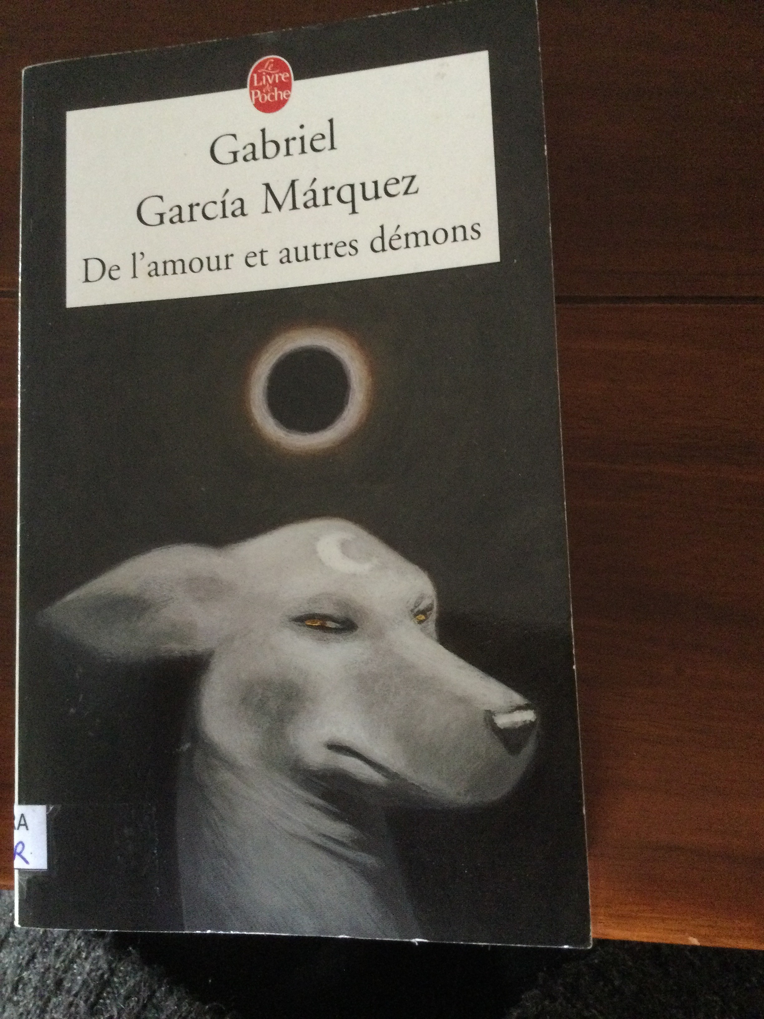 De l’amour et autres démons - Click to enlarge picture.