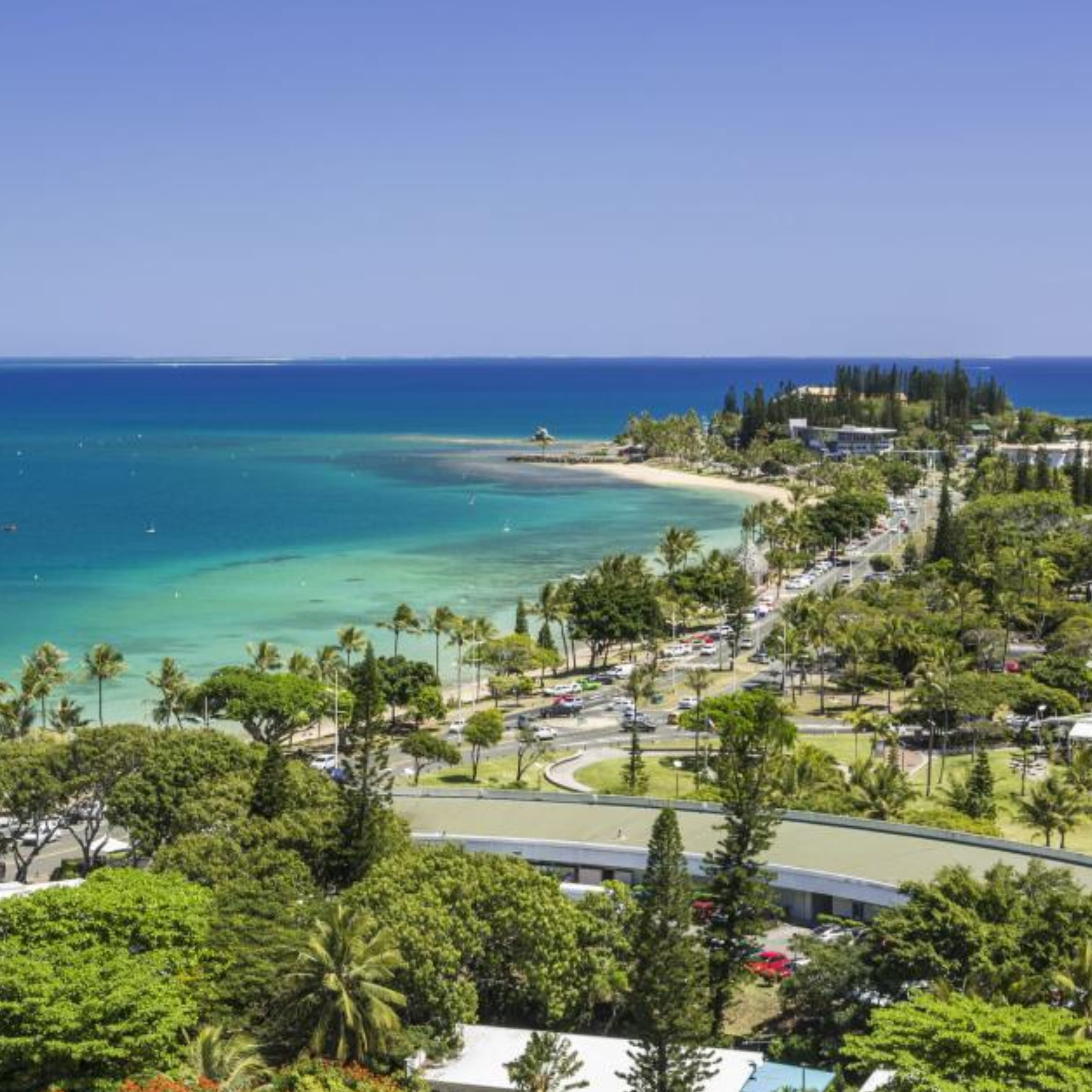 Wine Tasting at Univerre — Nouméa